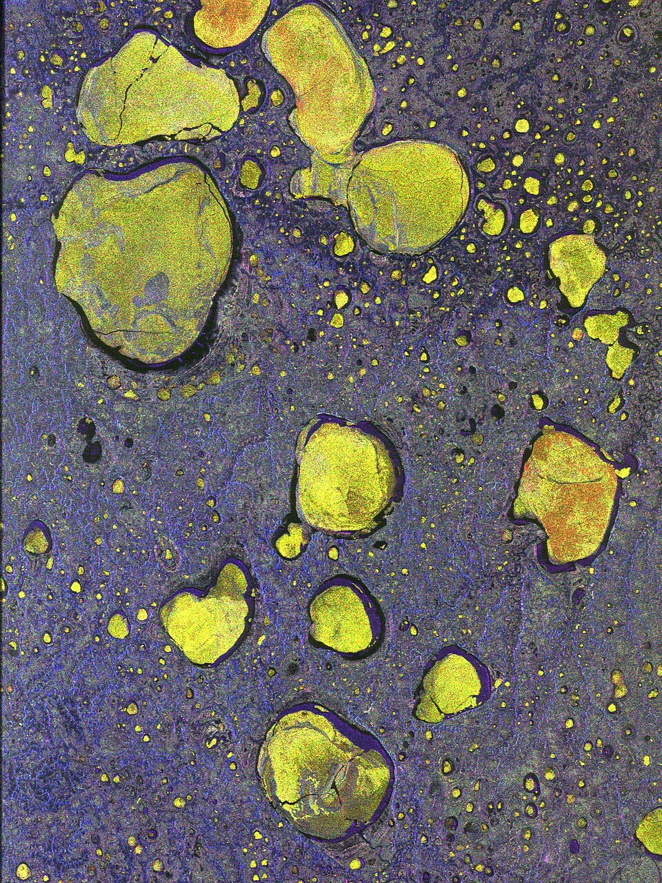 Thermokarst lakes in northern Siberia, captured by ESA Biomass satellite