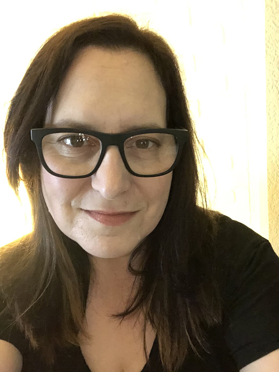 Julie Carpenter studying the intersection of human creativity and AI